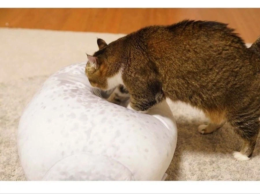 인형 따라하기.jpg