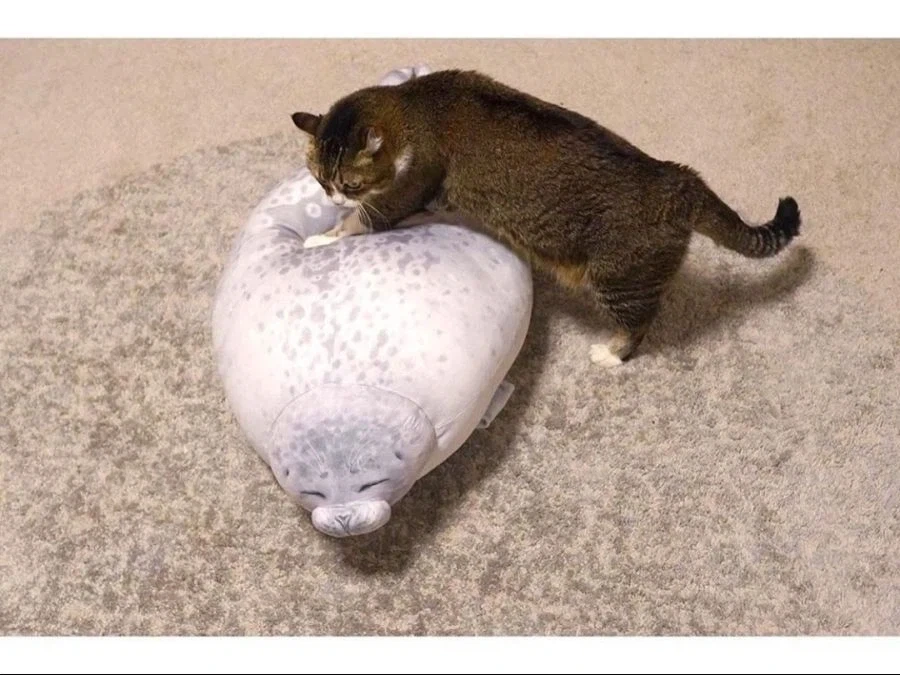 인형 따라하기.jpg - 이미지 2