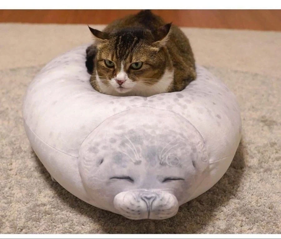 인형 따라하기.jpg - 이미지 3