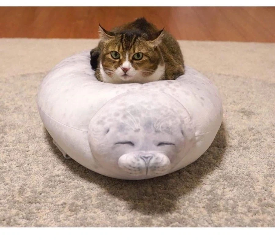 인형 따라하기.jpg - 이미지 4