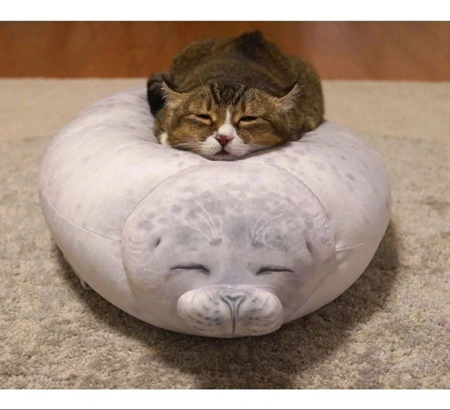 인형 따라하기.jpg - 이미지 5