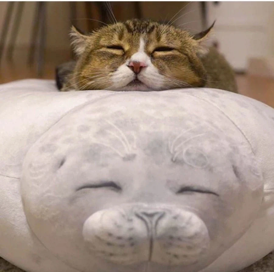 인형 따라하기.jpg - 이미지 6