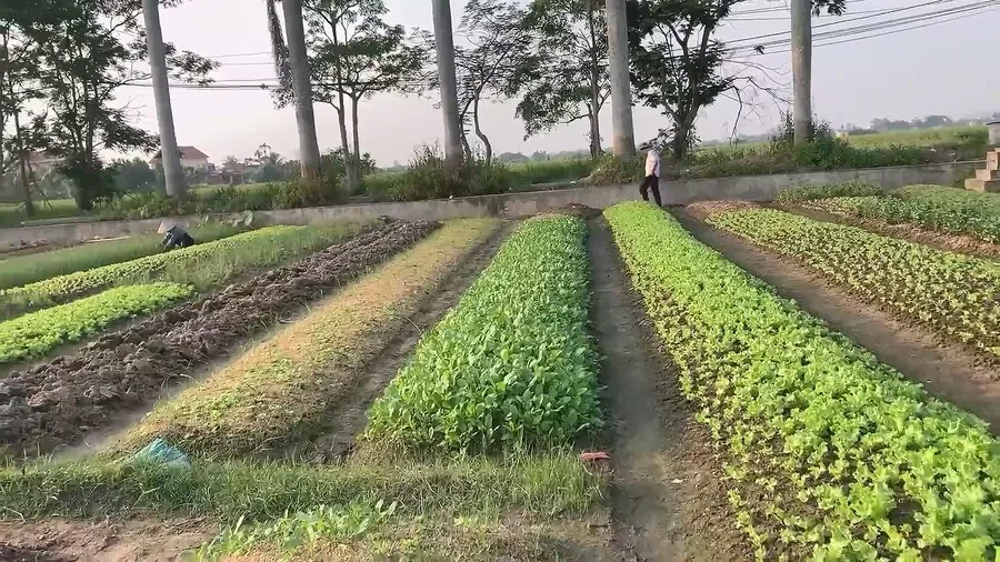 시골 농촌 또랑에 버려진.. 지포스 그래픽카드 복원