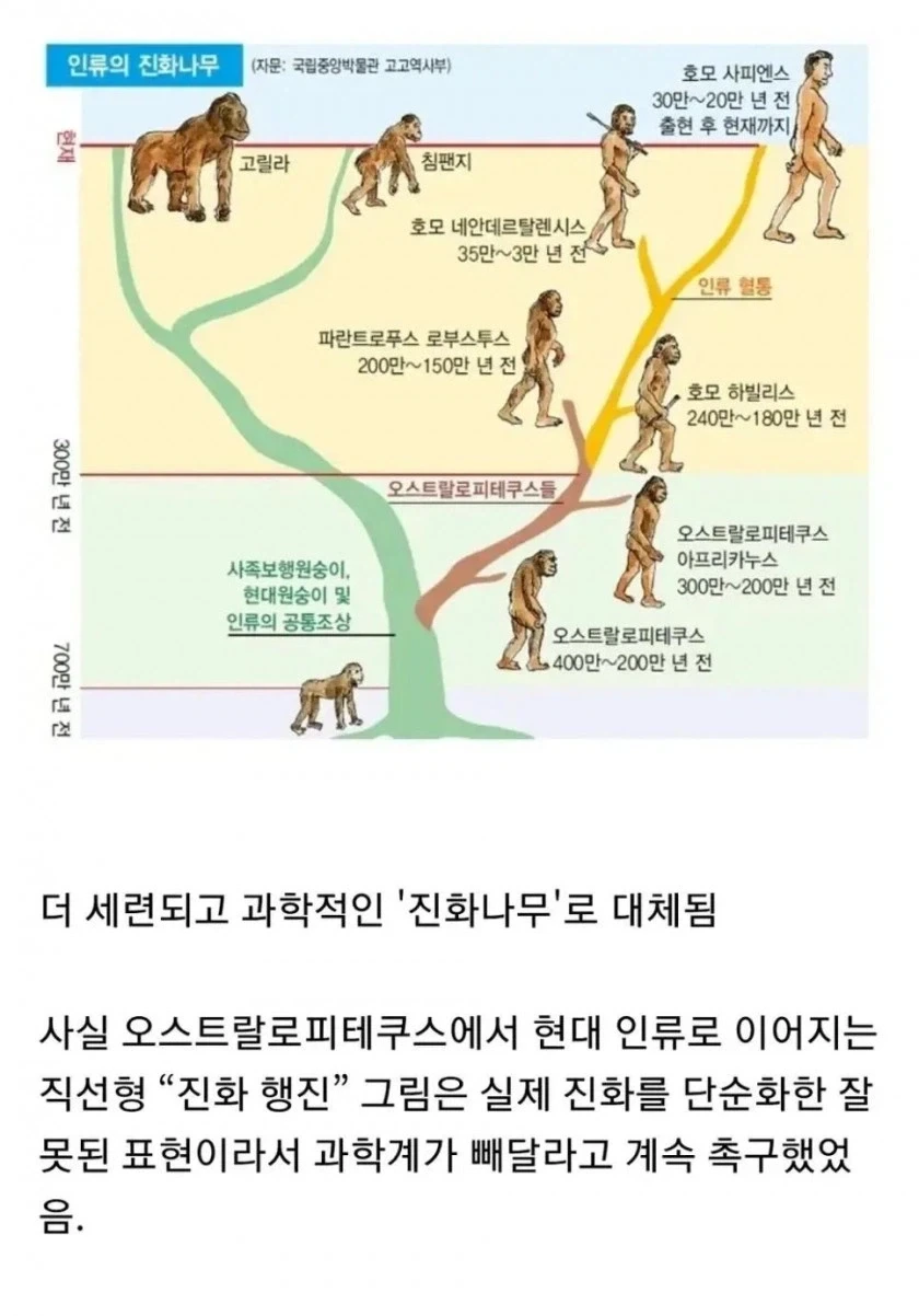 교과서에서 삭제된 인류 진화묘사 그림.... - 이미지 2