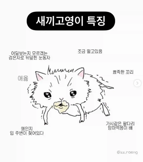 새끼 고양이 하이퍼 리얼리즘