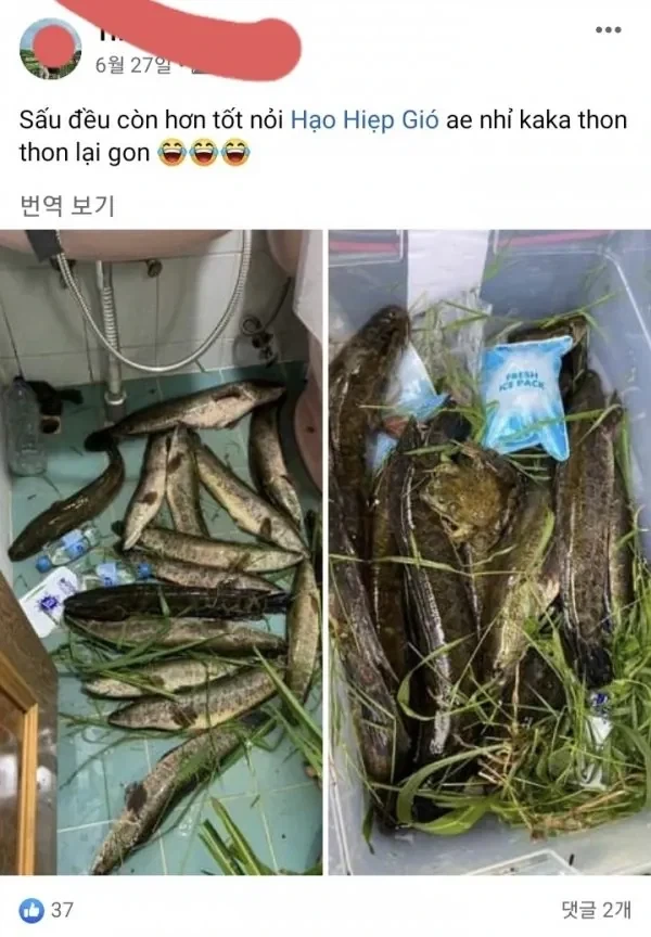 한국 거주 베트남인들이 하고 다녔던 짓들.jpg