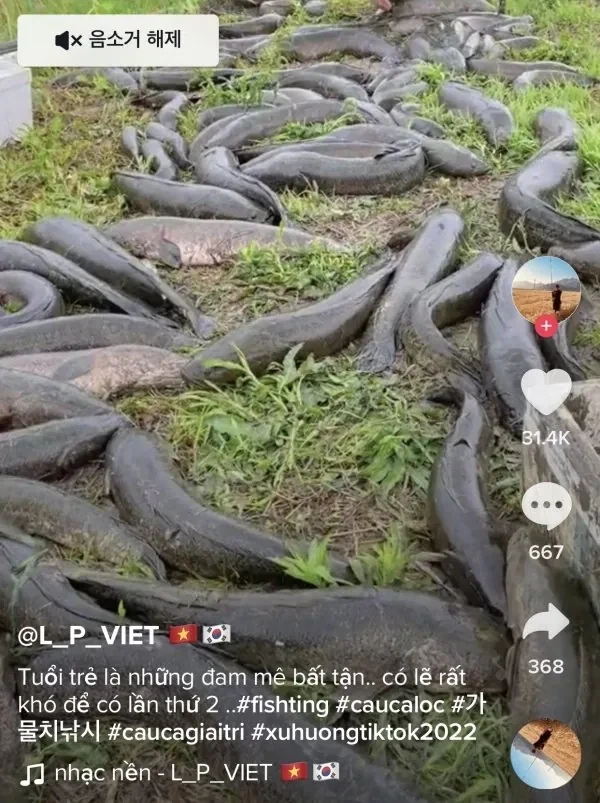한국 거주 베트남인들이 하고 다녔던 짓들.jpg - 이미지 2