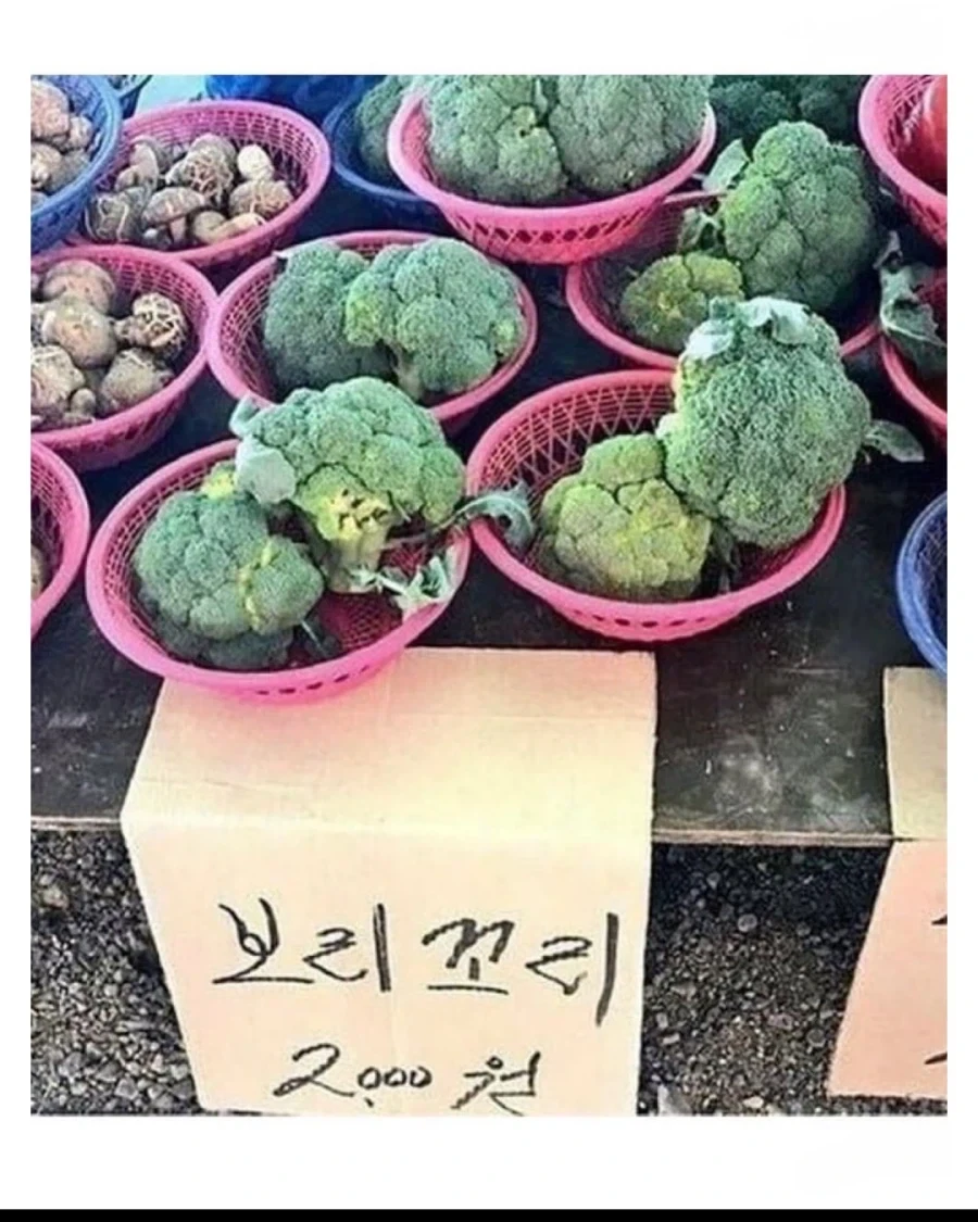 어르신들 손에 새로 태어난 상품들 .jpg - 이미지 6