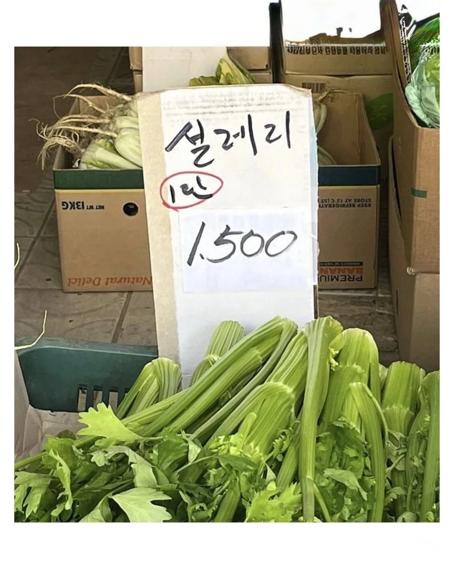 어르신들 손에 새로 태어난 상품들 .jpg - 이미지 9