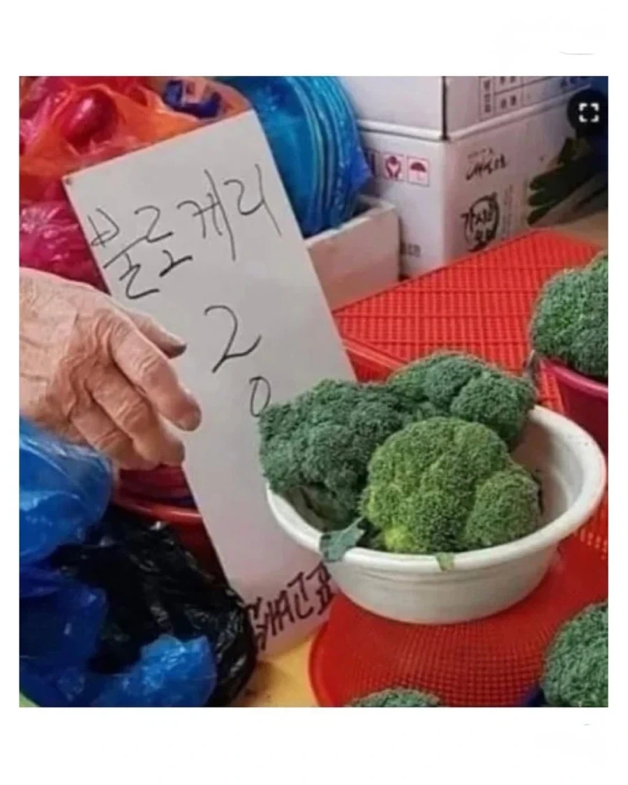 어르신들 손에 새로 태어난 상품들 .jpg - 이미지 10