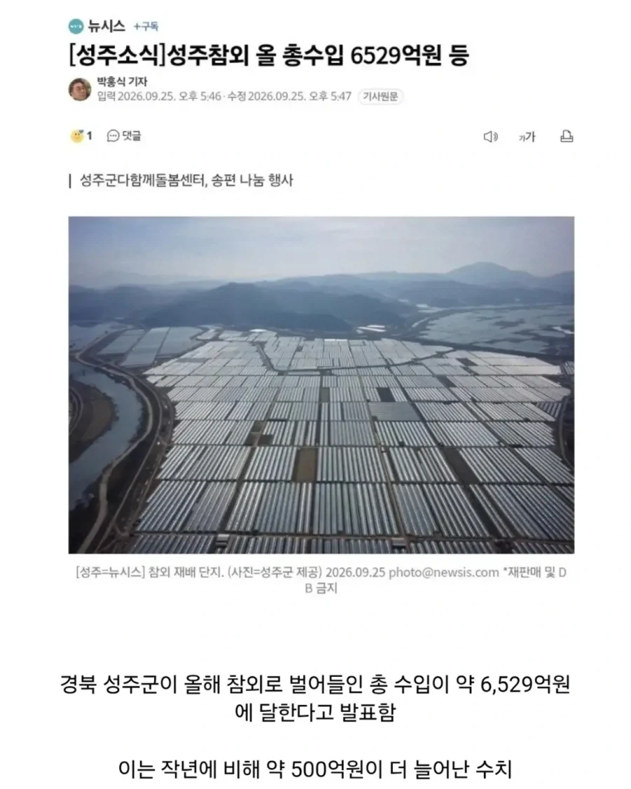 성주군의 노란 반도체.jpg