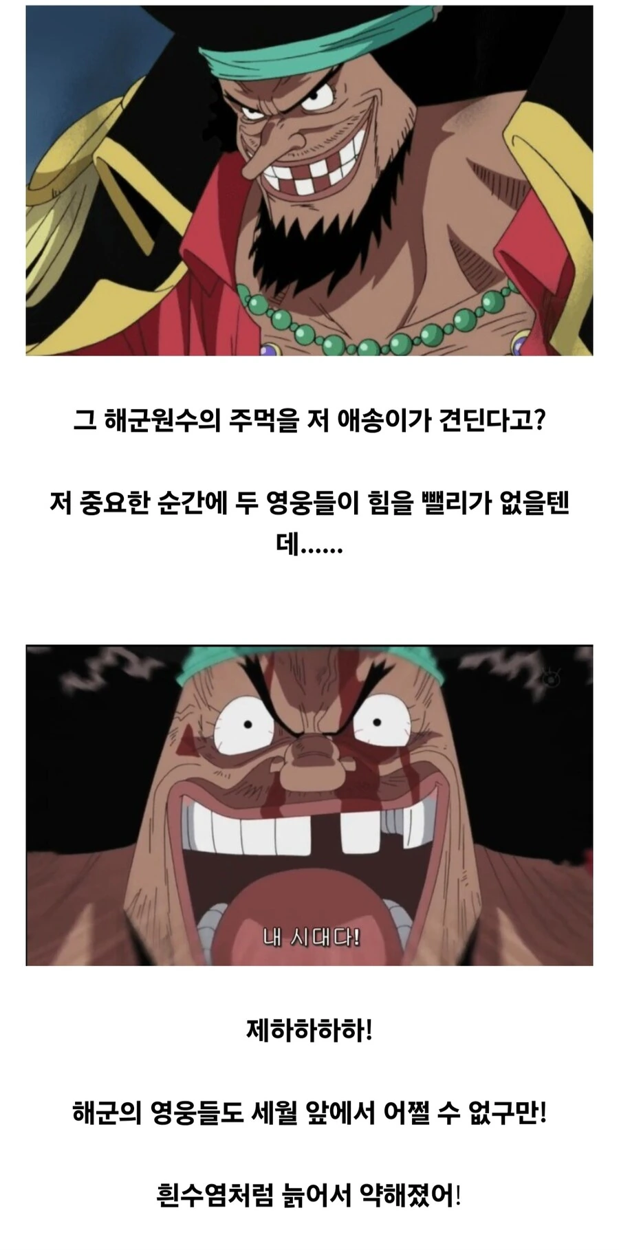 원피스) ??? : 저 두 사람 늙어서 약해짐 님들도 치셈ㅋㅋ - 이미지 3