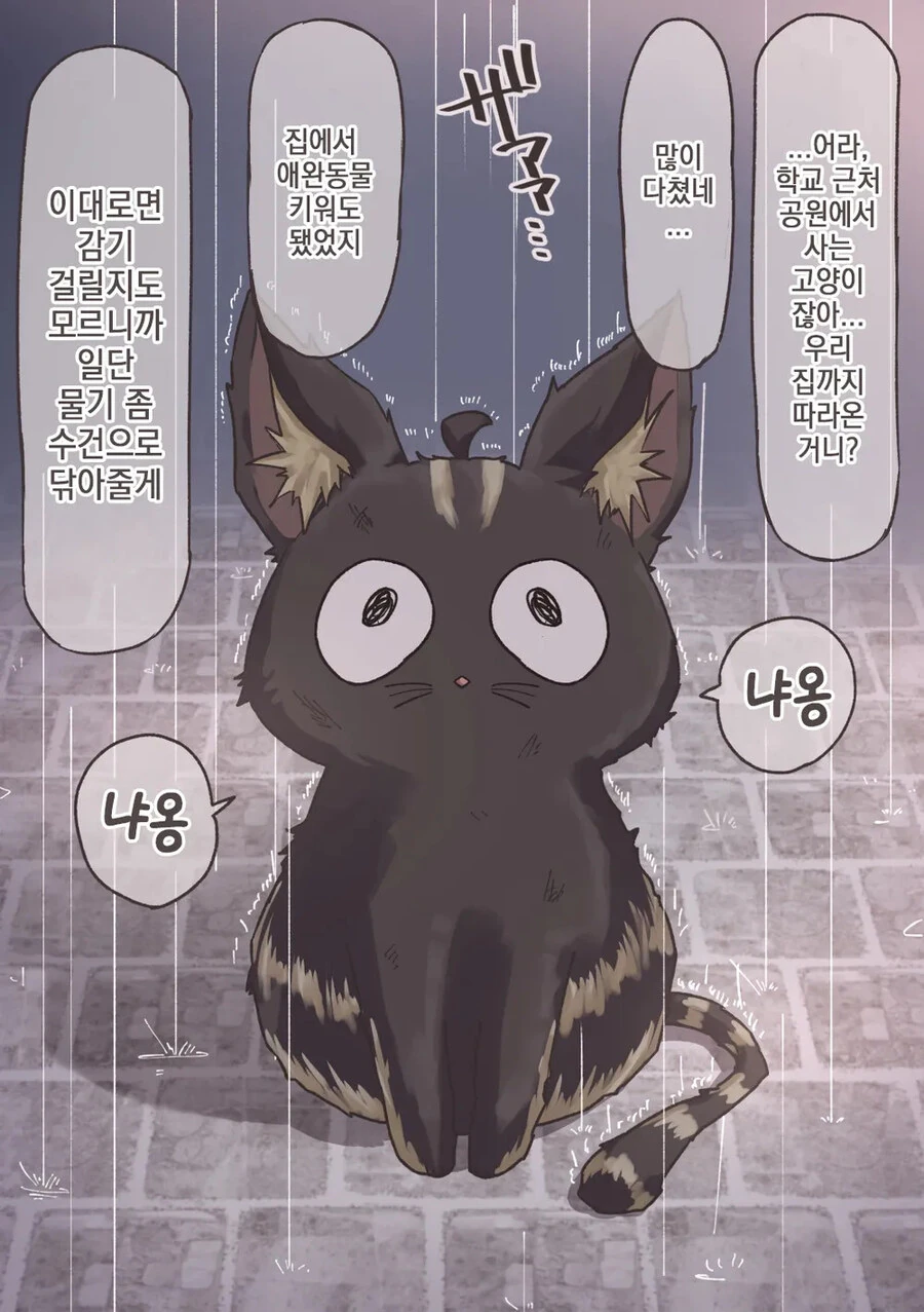 키우던 고양이가 사람으로 변할 수 있는.manhwa