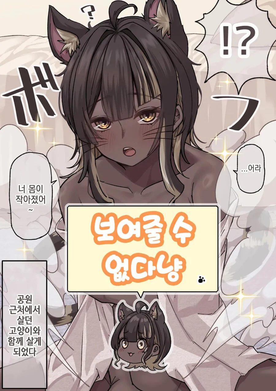 키우던 고양이가 사람으로 변할 수 있는.manhwa - 이미지 3