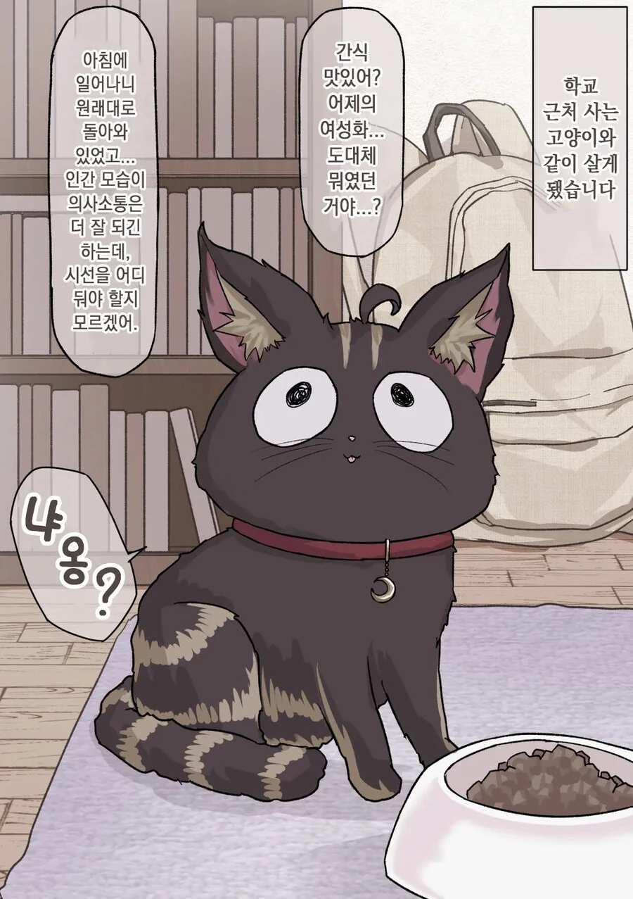 키우던 고양이가 사람으로 변할 수 있는.manhwa - 이미지 4