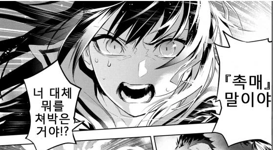 fate) 아주 값싼 여자.manga