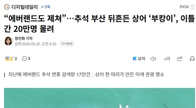 부산 상어가 얼마나 초대박인지 보여주는 폭력적인 워딩.jpg
