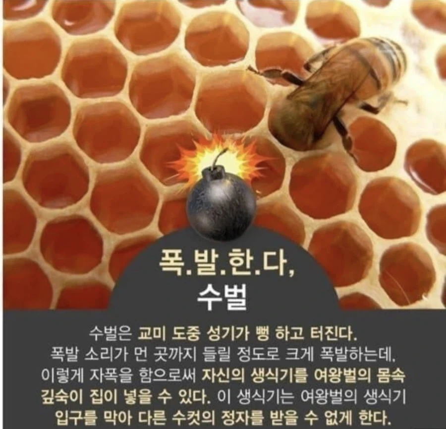 터져서 없어짐 수고하세여