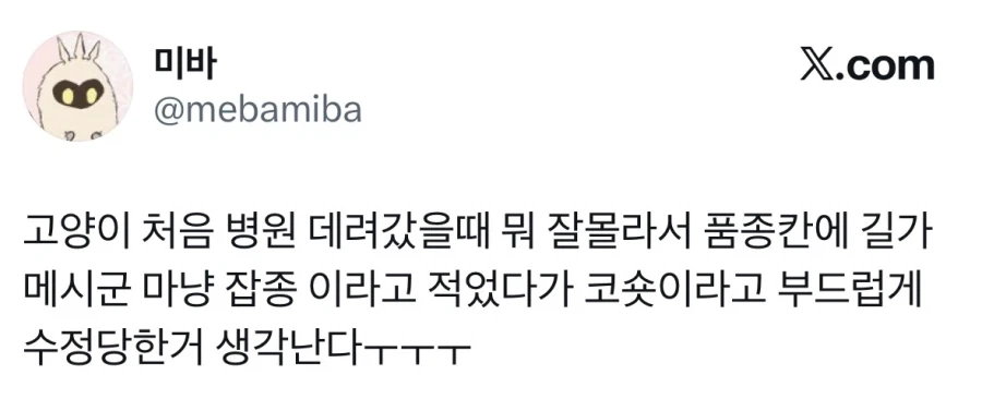 고양이 품종 몰라서 그냥 잡종이라고 적음.jpg