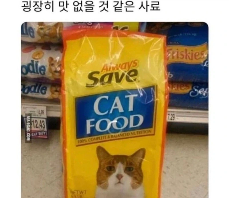 굉장히 맛없을거같은 사료 .jpg