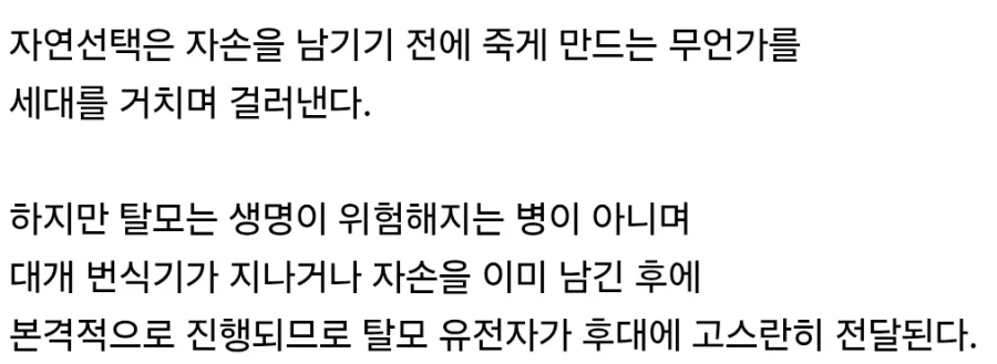 탈모의 유전율이 상대적으로 높은 이유 - 이미지 2