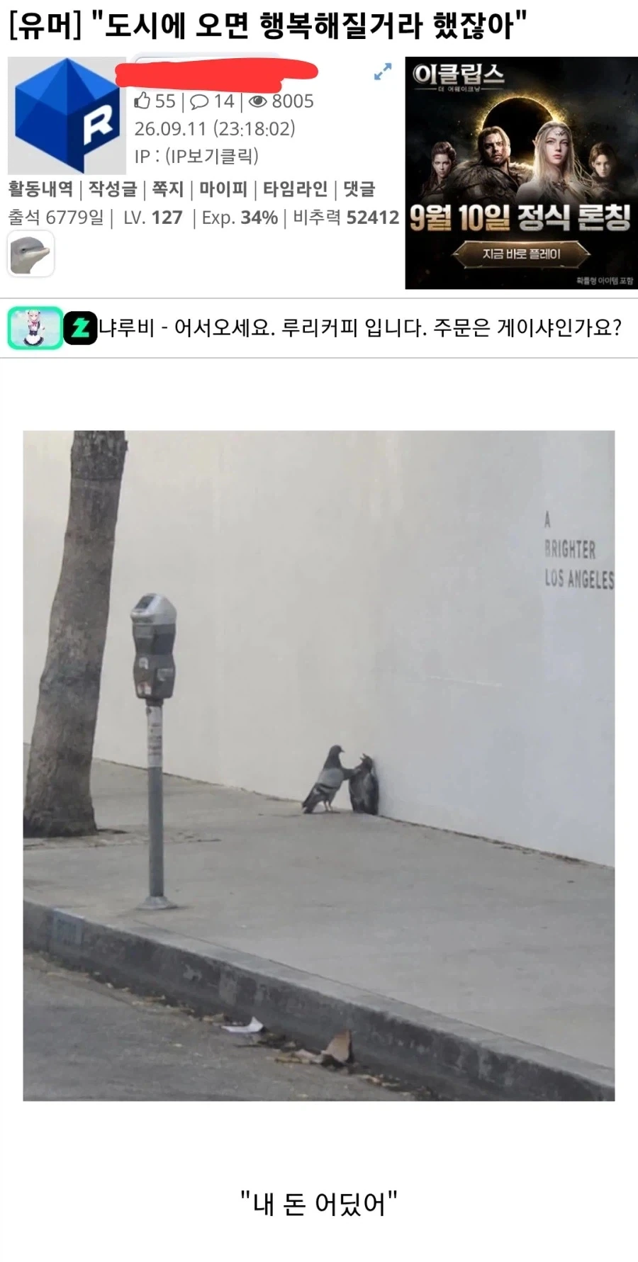 비둘기판 러시아 문학.jpg