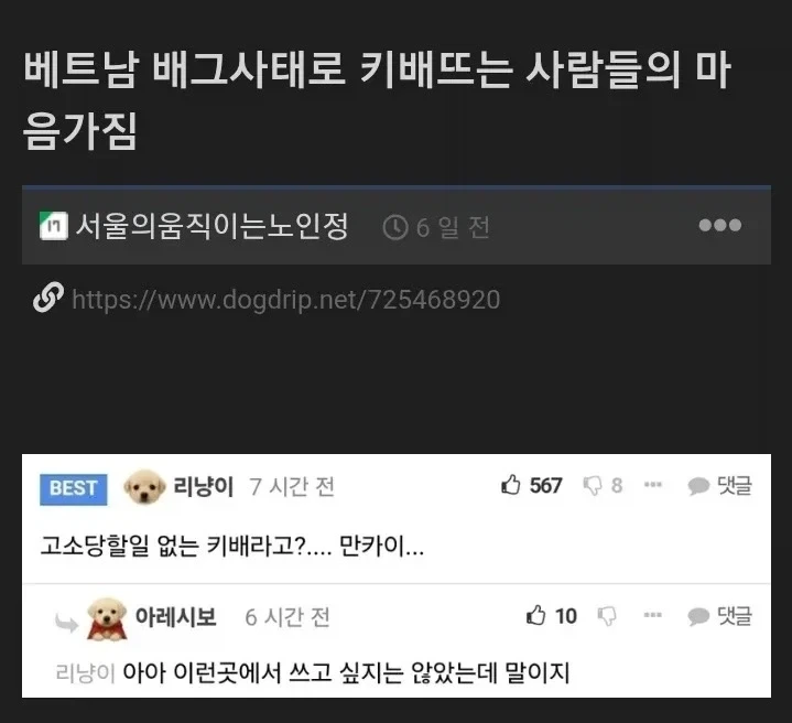 베트남 배그사태로 키배뜨는 사람들 마음가짐.jpg