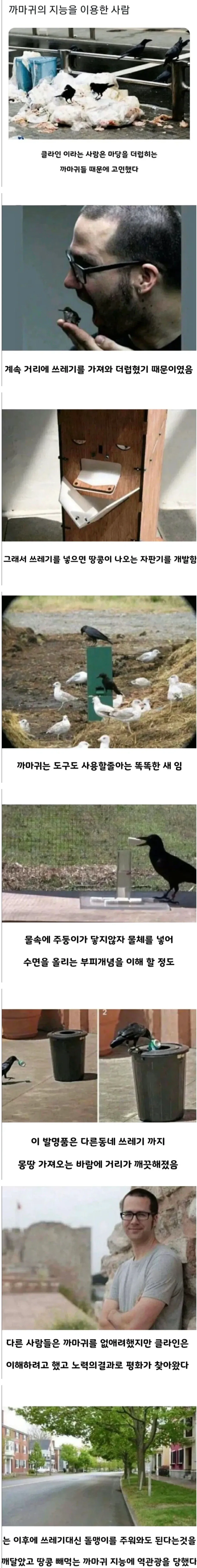 까마귀의 지능을 이용한 사람