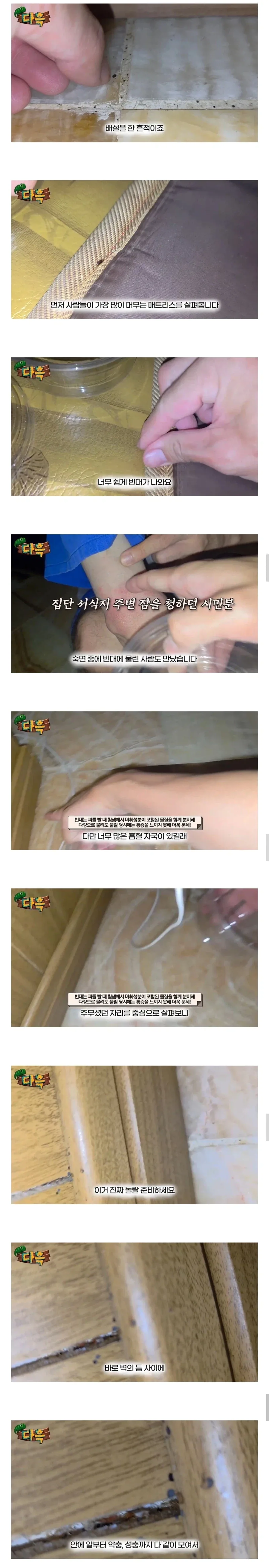 약혐) 부산 찜질방 빈대 이슈 업로드한 유튜버 다흑...jpg - 이미지 3