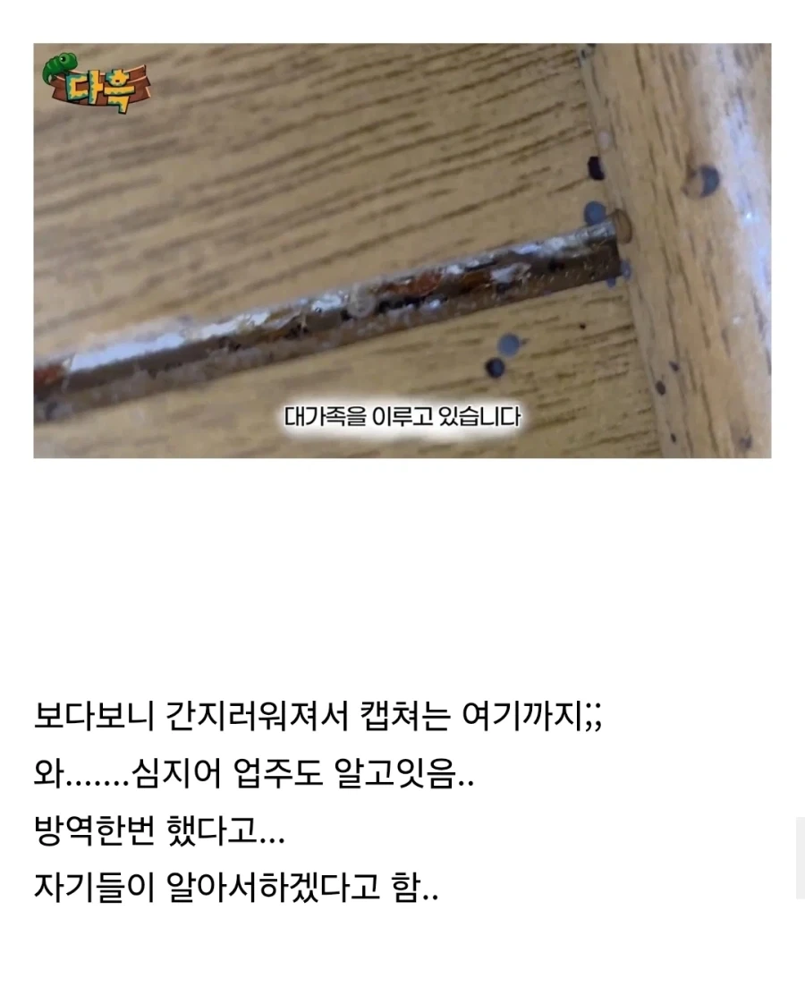약혐) 부산 찜질방 빈대 이슈 업로드한 유튜버 다흑...jpg - 이미지 4