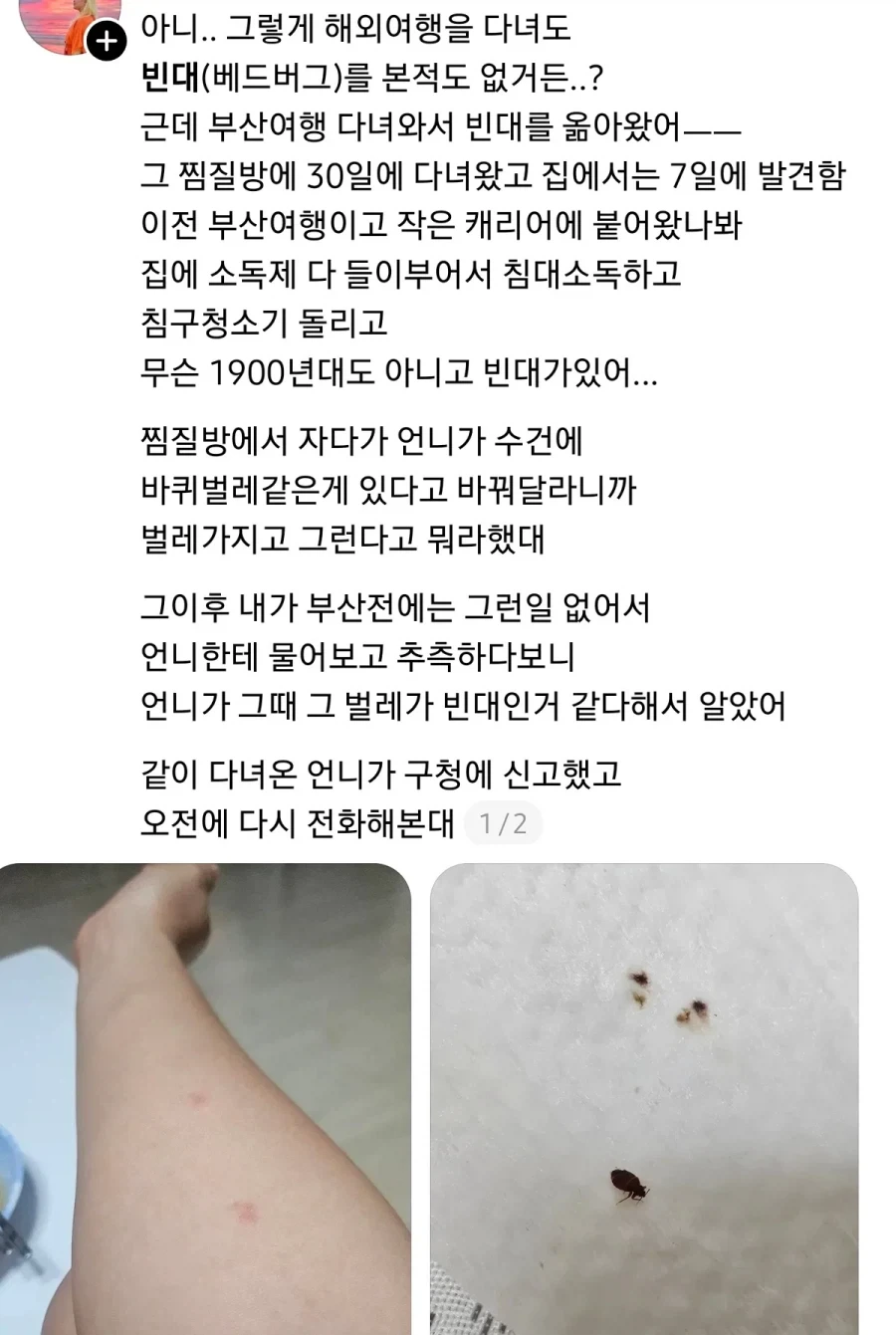 약혐) 부산 찜질방 빈대 이슈 업로드한 유튜버 다흑...jpg - 이미지 6
