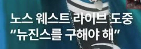 미국 초딩 인플루언서 - 이미지 3