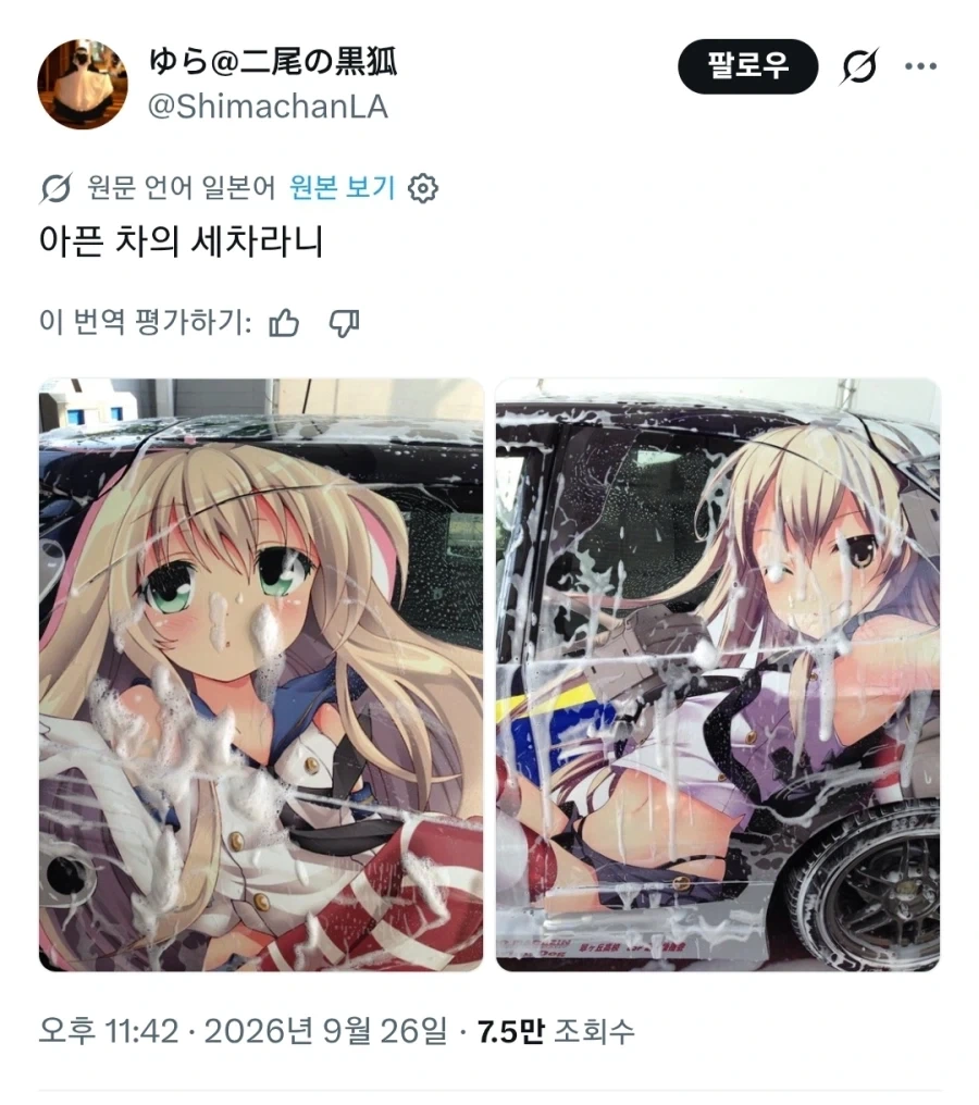 애니캐릭터 박아넣은 자동차를 세차하면