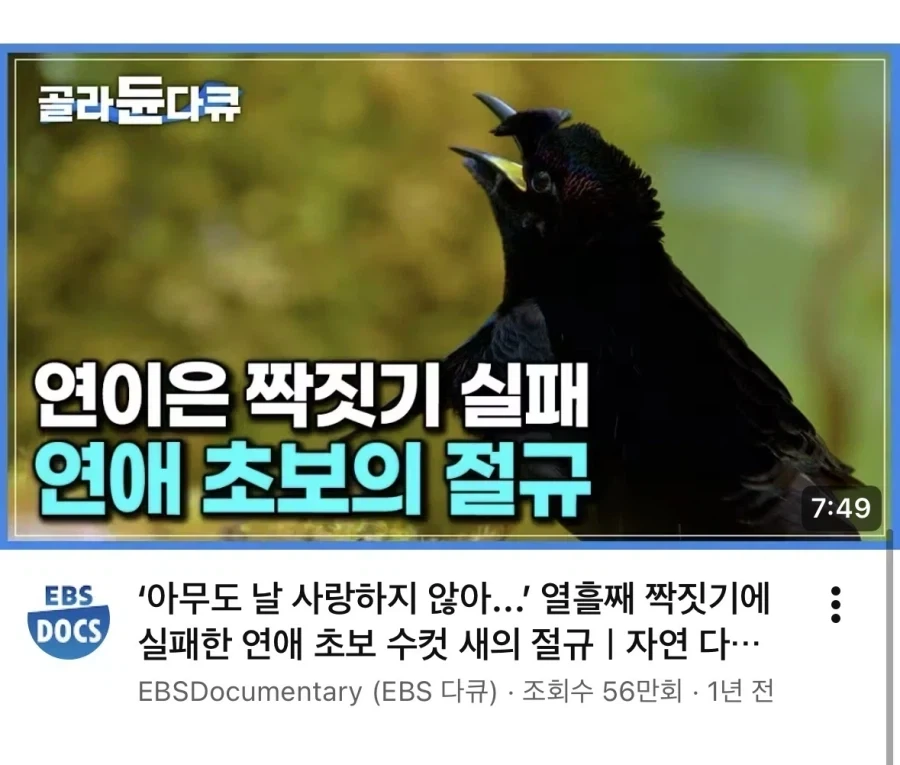 연애 초보가 연애를 못 하는 이유.jpg