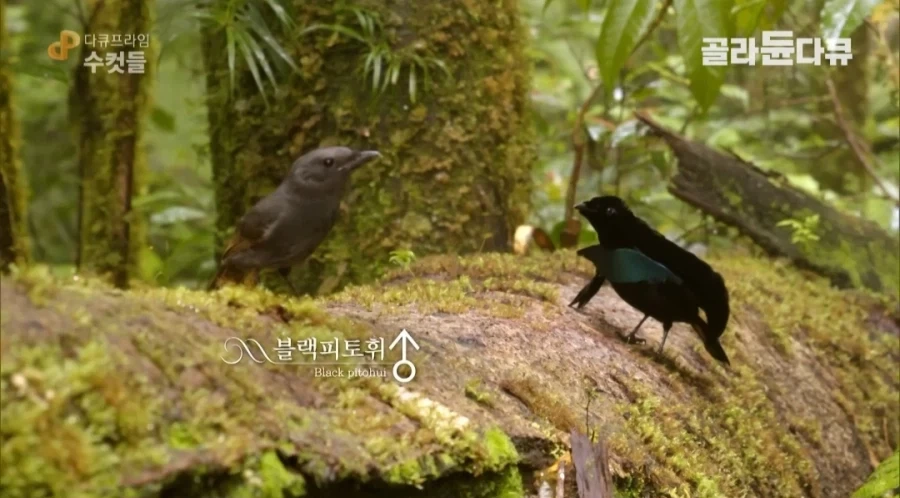 연애 초보가 연애를 못 하는 이유.jpg - 이미지 4