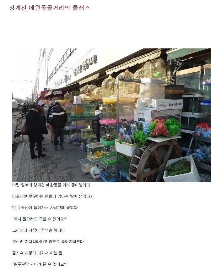 북항이를 보며 생각나는 유머