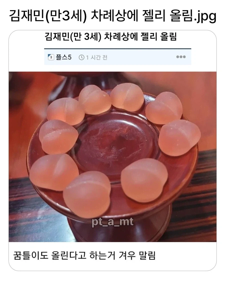 김재민(만 3세) 차례상에 젤리 올려...
