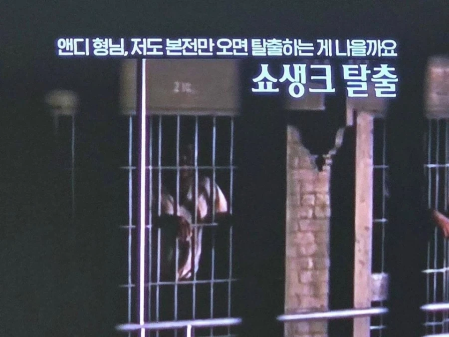 도대체 얼마나 물린건지 가늠이 안된다는 OCN 직원.jpg - 이미지 2