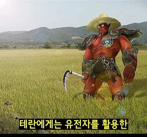 스타2 이후 3세력 요약 - 이미지 40
