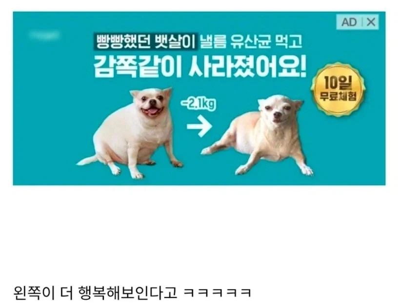 빼앗긴 행복