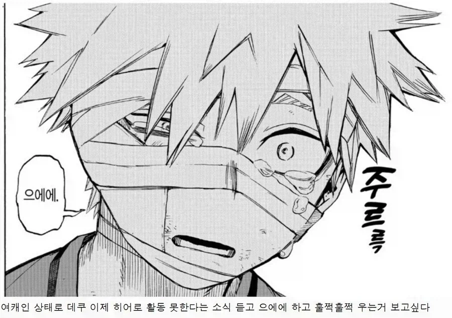 나히아) 히로아카 바쿠고는 ㄹㅇ 개 또1라이같은 캐릭이다. - 이미지 3