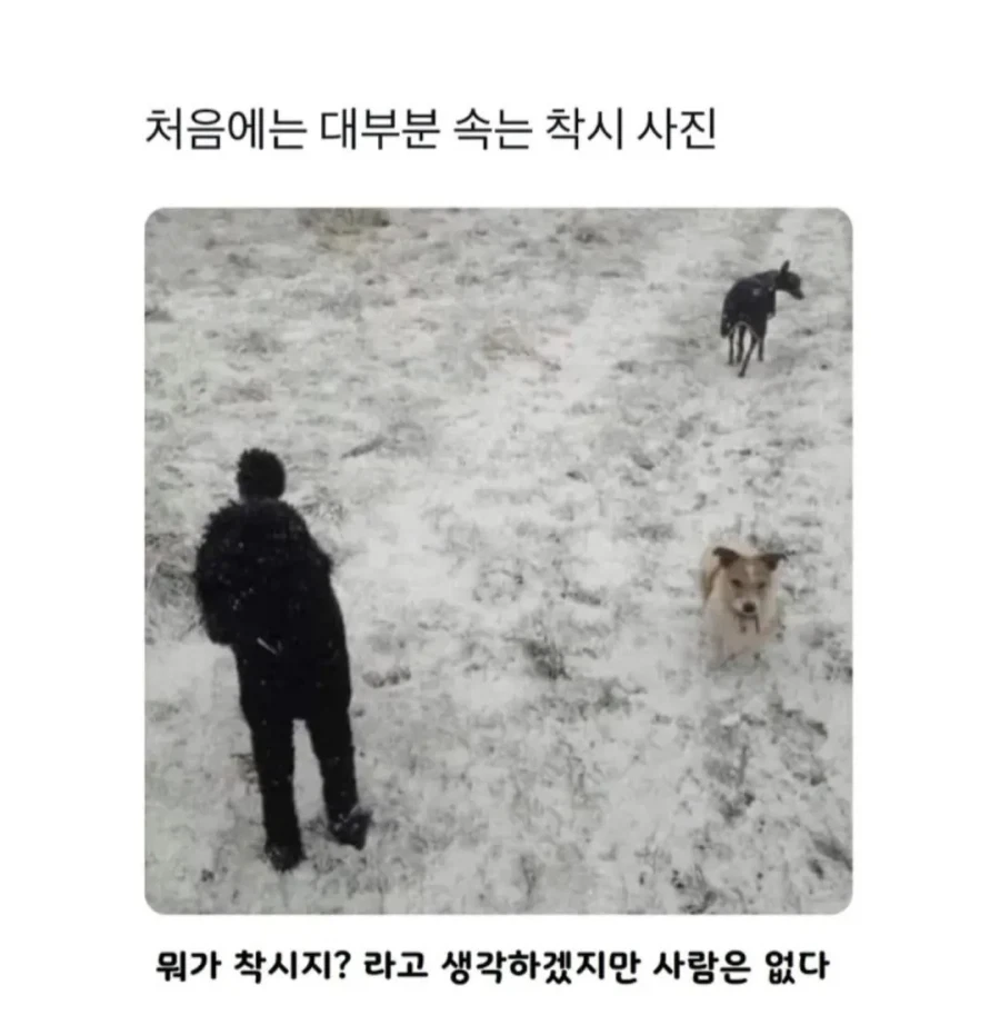 대부분 속는 착시 사진