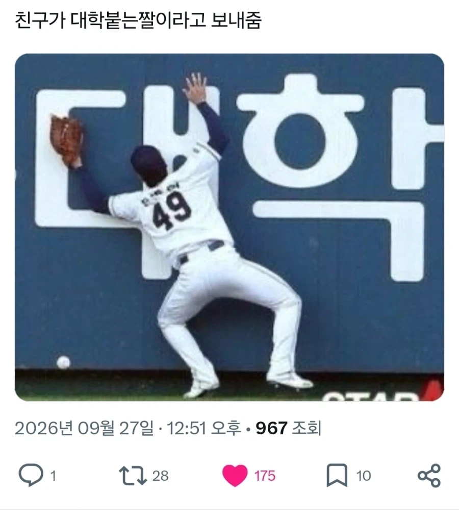 대학 붙는 짤.x