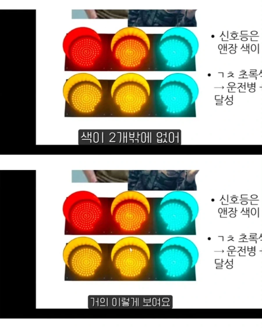 색약 유튜버가 밝힌 일반인은 절대 모르는 고충들.jpg - 이미지 9
