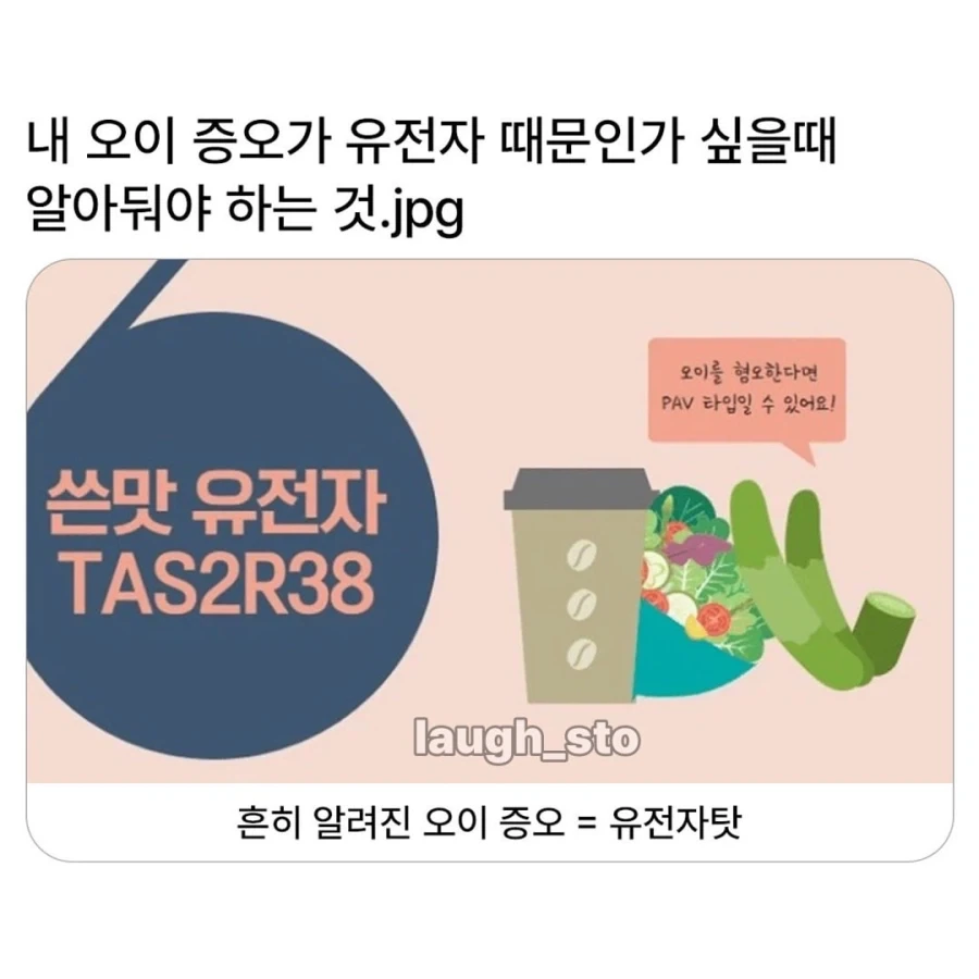 내 오이 증오가 유전자 때문인가 싶을때 알아둬야 하는것.jpg