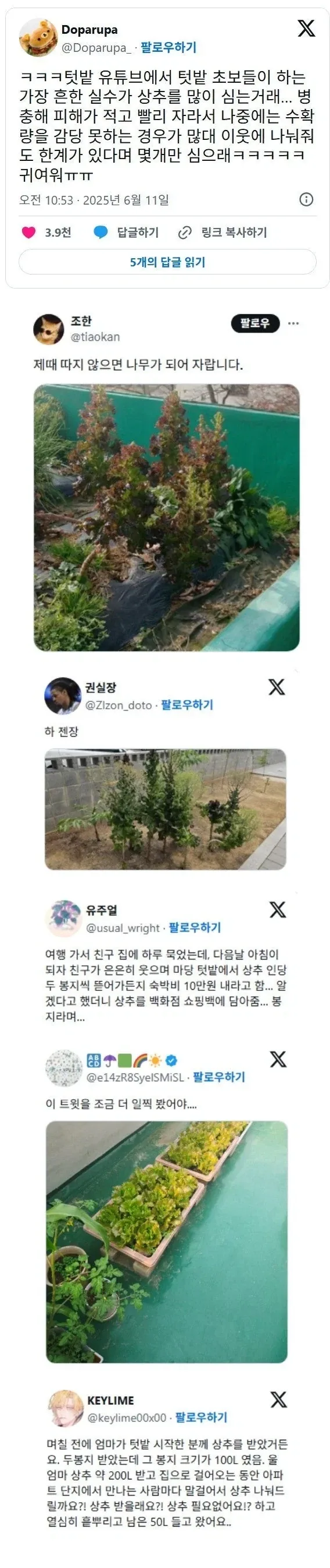 텃밭 초보농부들이 가장 많이 하는 실수.webp