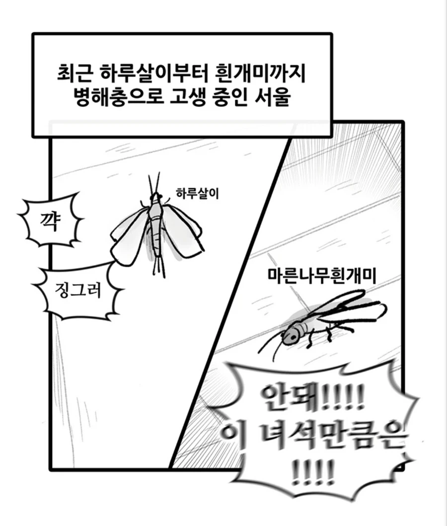 ㅇㅅ벌레 만화