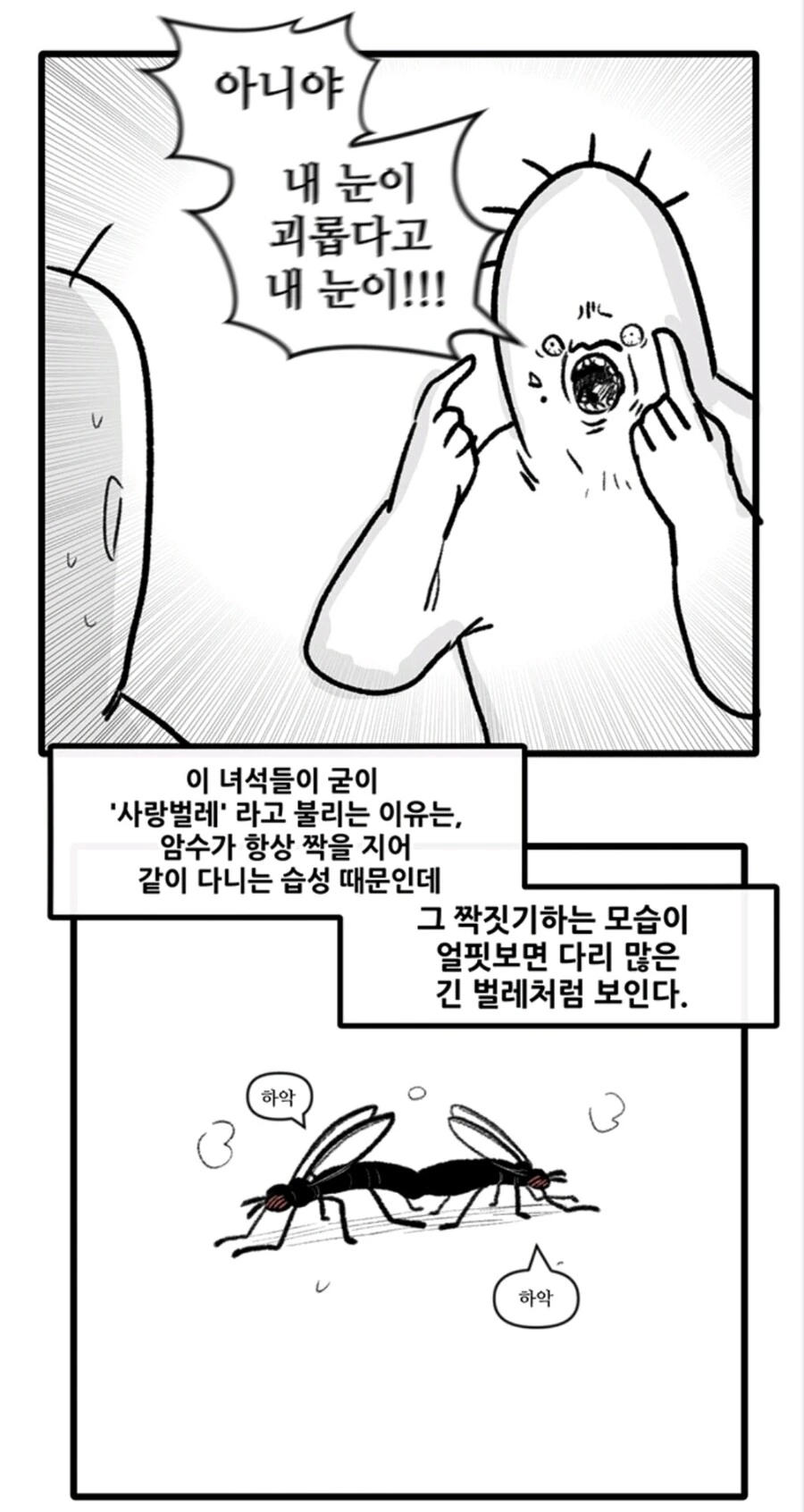 ㅇㅅ벌레 만화 - 이미지 4