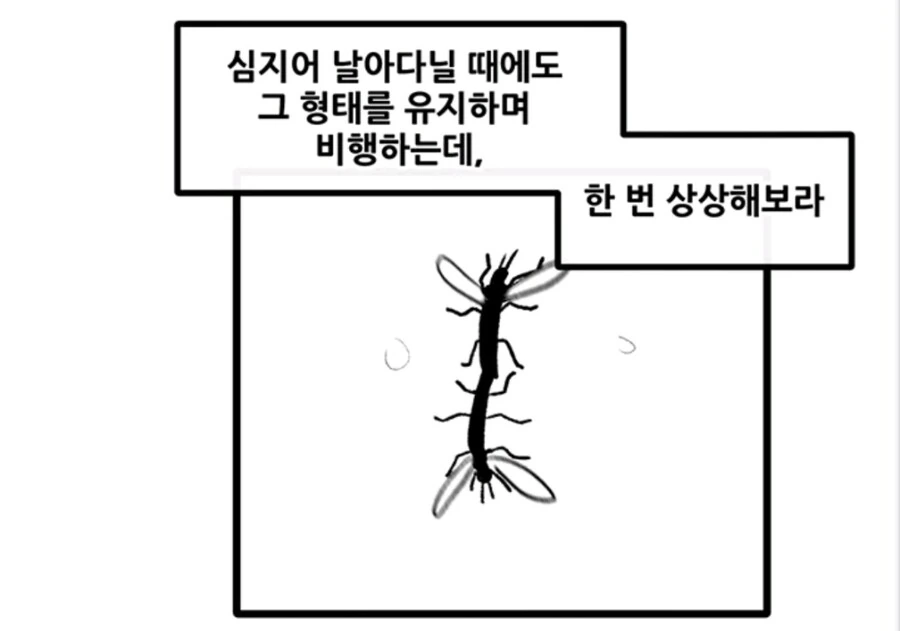 ㅇㅅ벌레 만화 - 이미지 5