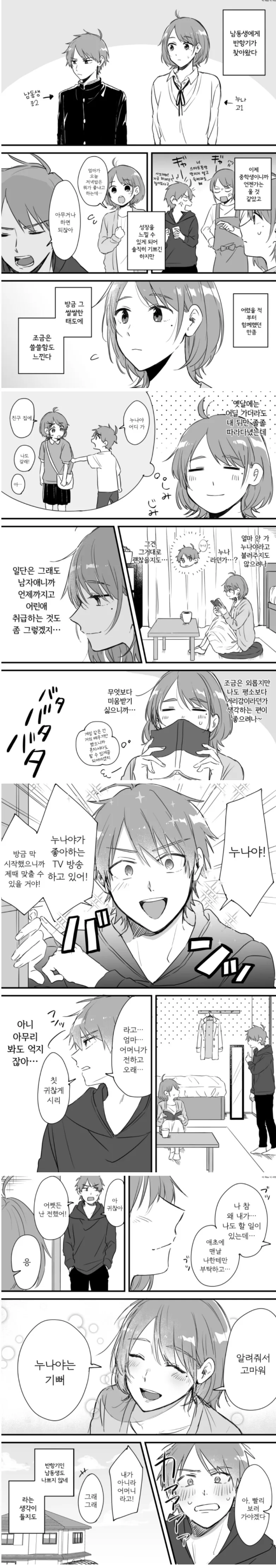 반항기가 온 남동생 만화